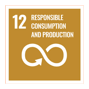 Sdg logo 12 responsible consumptions and production