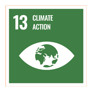 Sdg logo 13 climate action