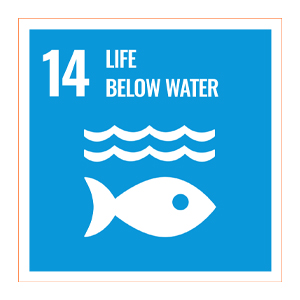 Sdg logo 14 life below water